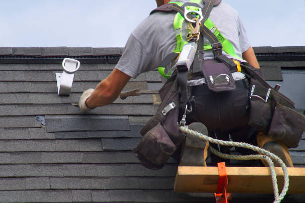 Best Roof Gutter Cleaning  in Troy, OH