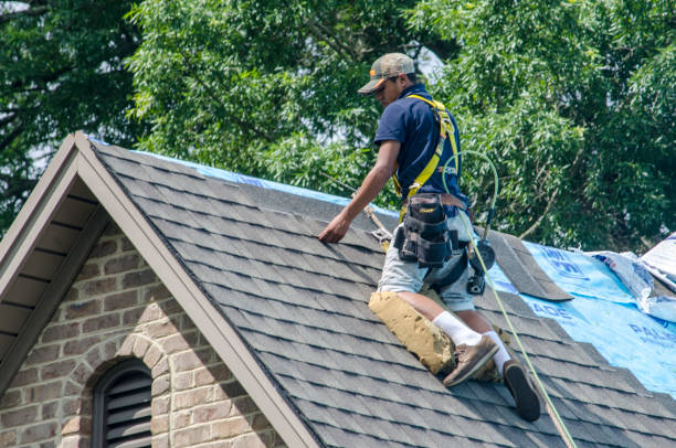 Roof Gutter Cleaning in Troy, OH